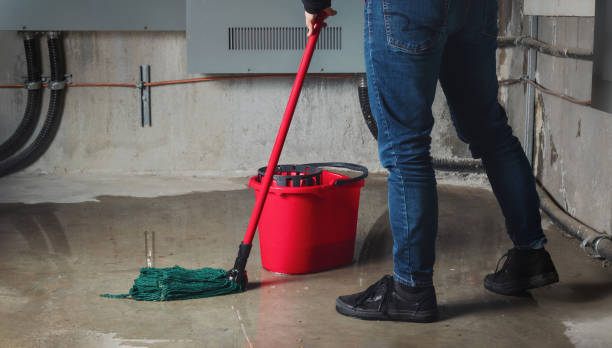 Best Flood restoration services  in Lakehills, TX