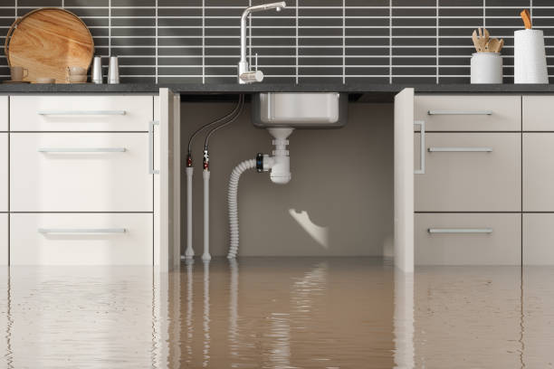 Best Water damage restoration company  in Lakehills, TX