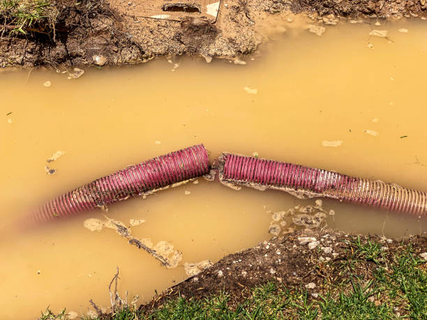 Best Water damage restoration services  in Lakehills, TX