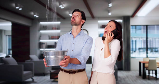 Best 24-hour water damage restoration  in Lakehills, TX