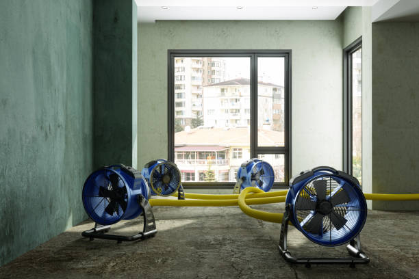 Best Commercial water damage restoration  in Lakehills, TX